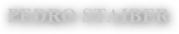 Pedro Staiber